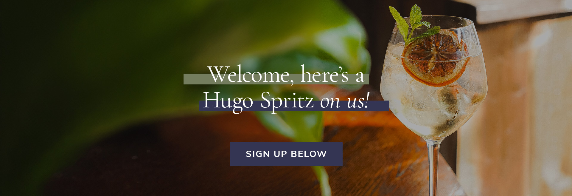 Sign up to the newsletter at The Cuckfield